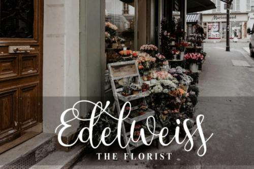 Angelic Calligraphy Font