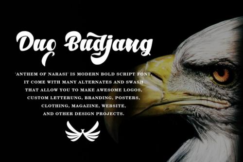 Anthem of Narasi Script Font