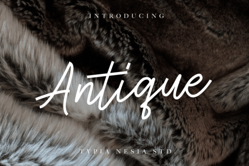 Antique Script Font