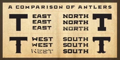 Antler Font Family