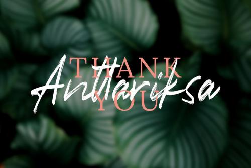 Anttariksa Brush Font