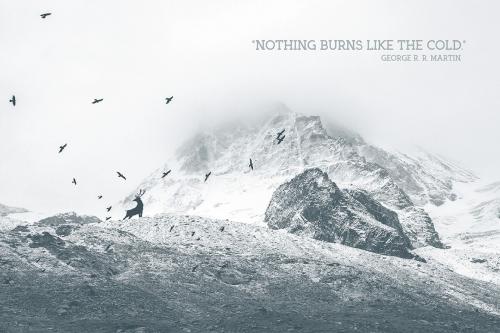 Arctic Font