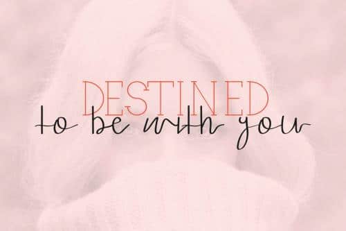 Ariesta Moon Script Font