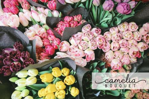 Arkina handwriting Font
