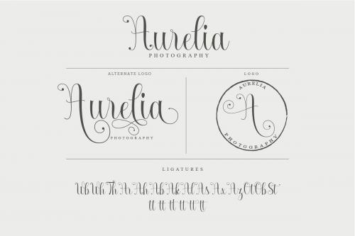 Armadilla Script Font