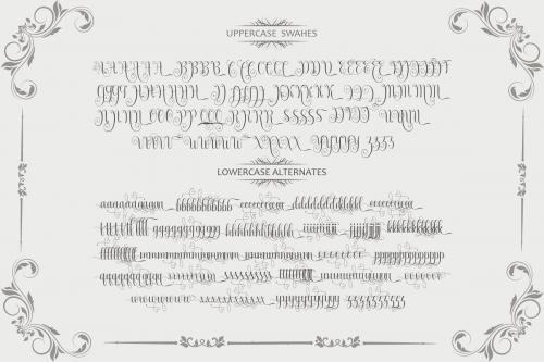 Armadilla Script Font