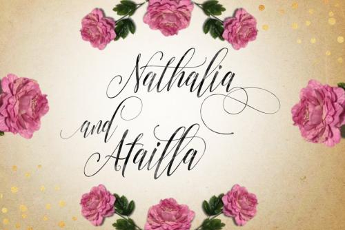 Arnetalia Script Font