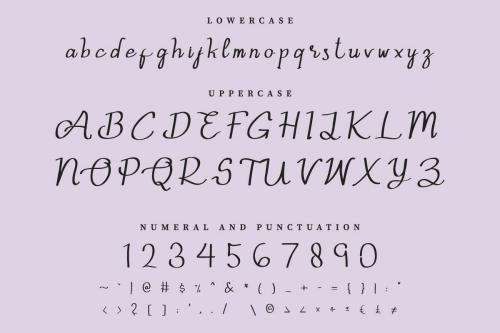 Aslina Ohio Script Font