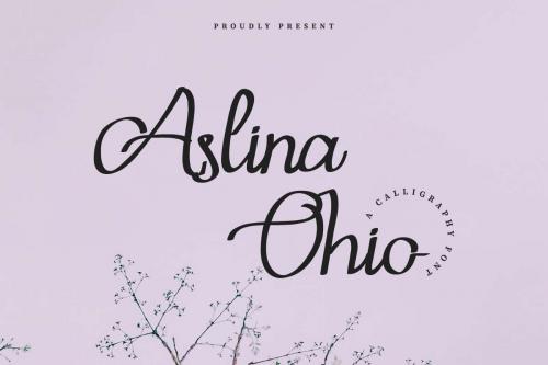 Aslina Ohio Script Font
