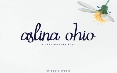 Aslina Ohio Script Font