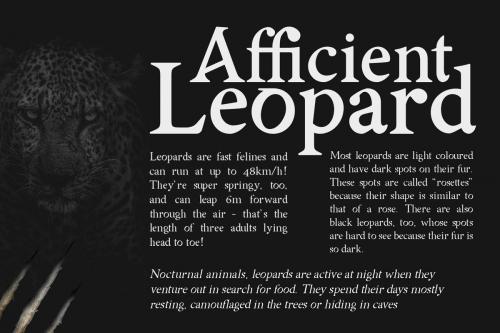 Asmath Sharp Serif Font