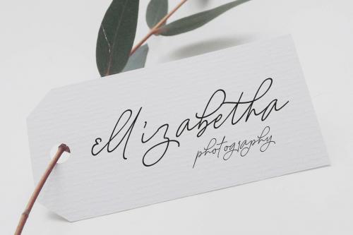August Bold Script Font