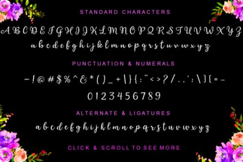 Austral Hand Brushed Font