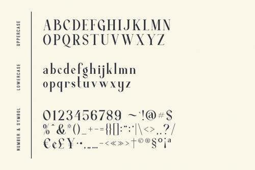 Average Serif Font