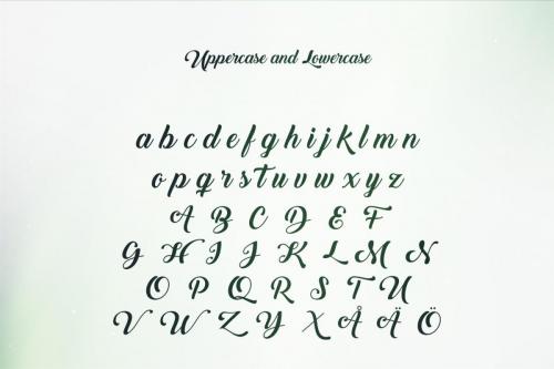 Back to Black Font