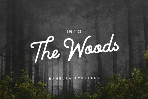 Baheula Vintage Typeface
