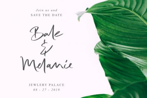 Bale Melanie Script Font