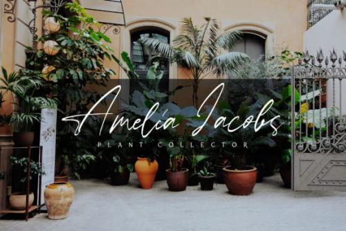 Ballerina Script Font