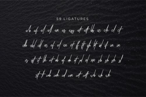 Ballistick Signature Font