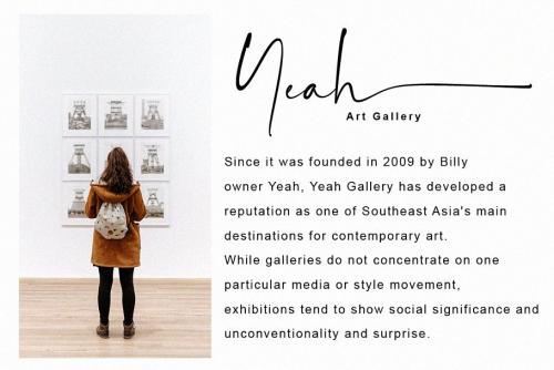 Balnes Modern Script Font