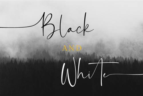 Balnes Modern Script Font
