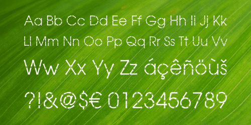 Bamboo Gothic Font