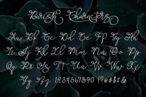 Barista Script Font
