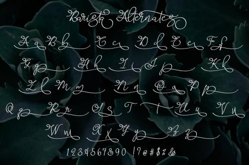 Barista Script Font