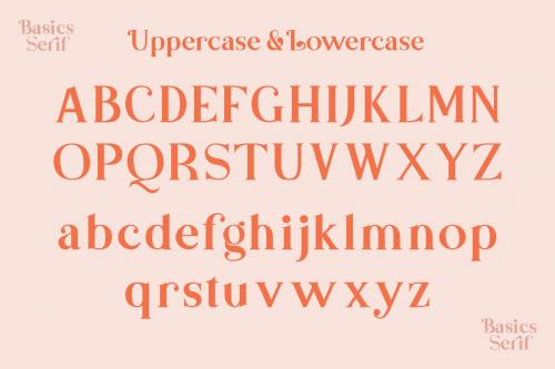 Basics Serif Script Font