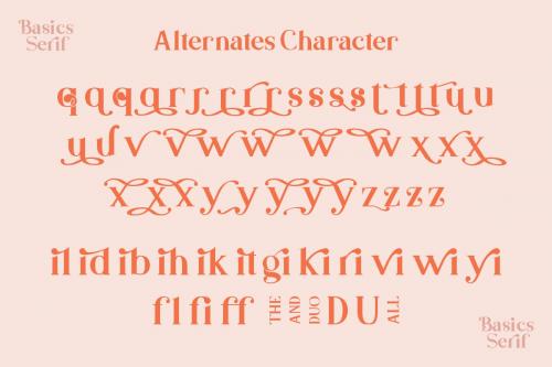Basics Serif Script Font