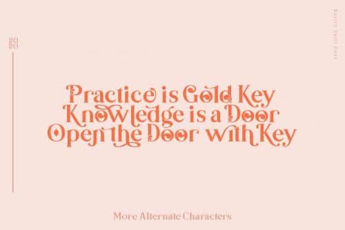 Basics Serif Script Font