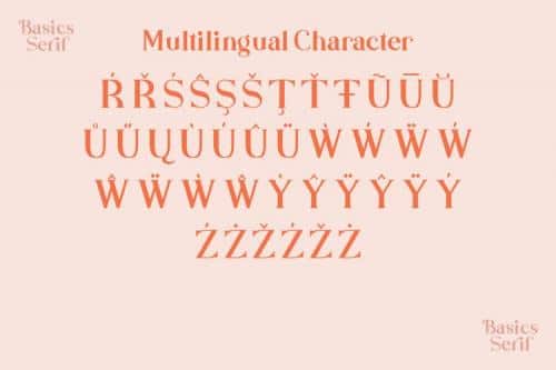 Basics Serif Script Font
