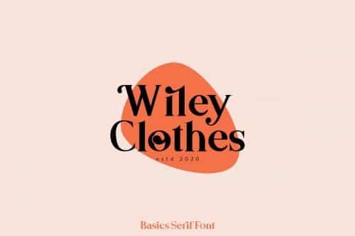 Basics Serif Script Font