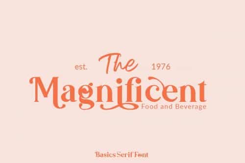 Basics Serif Script Font