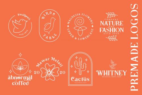 Basics Serif Script Font