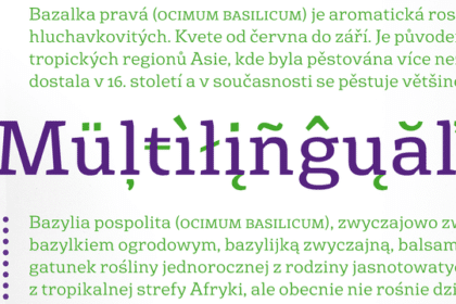Basil Font Family