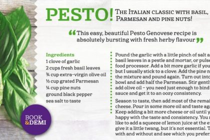 Basil Font Family