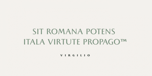 Beatrix Antiqua Font Family
