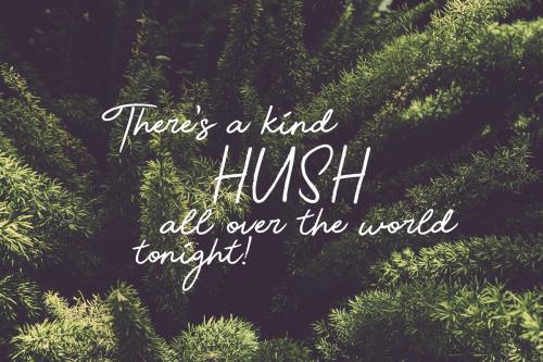 Beauty Font