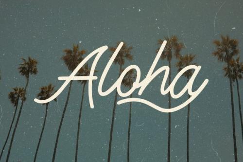 Bee Long Script Font