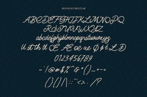 Bee Long Script Font
