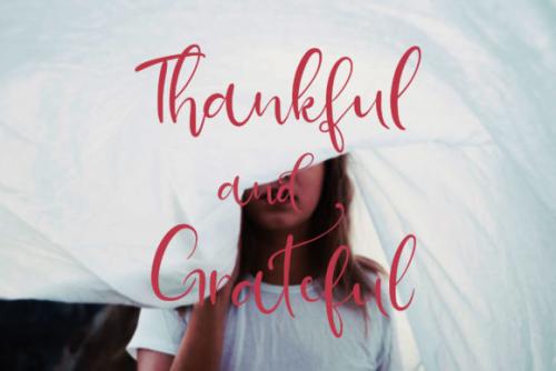 Bella Berry Calligraphy Font
