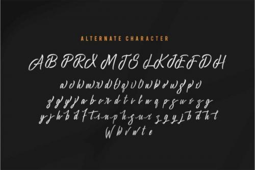 Bella Regina Script Font