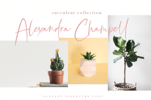 Bellandha Signature Script Font