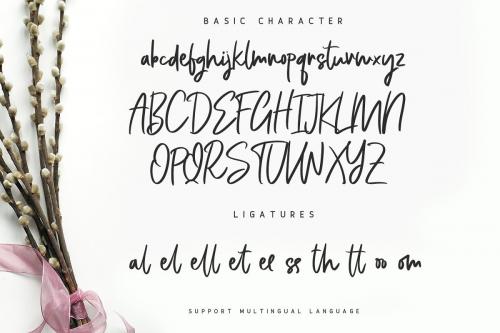 Bellevue Script Font