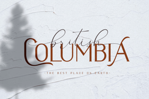 Bello Calligraphy Font