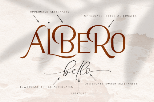 Bello Calligraphy Font