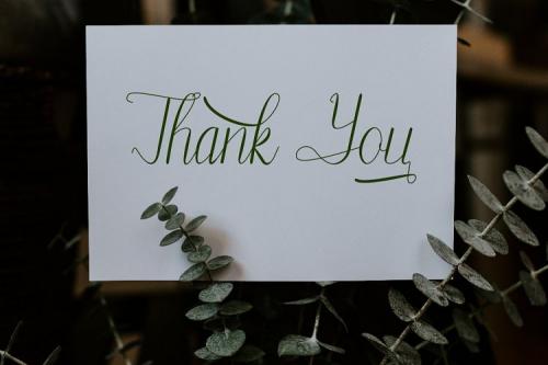 Belynti Calligraphy Font