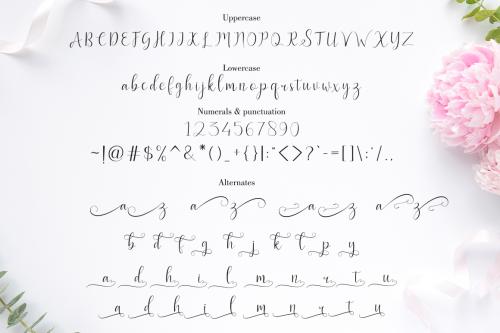 Bentley Script Font