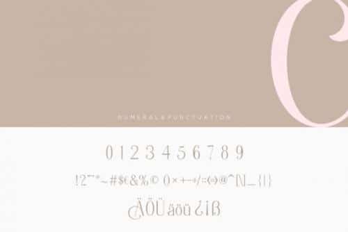 Berlin Collection Font